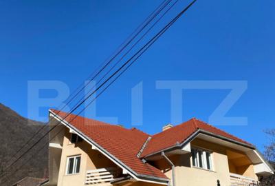 Vila 7 camere, 750mp-teren, BAILE HERCULANE - 20