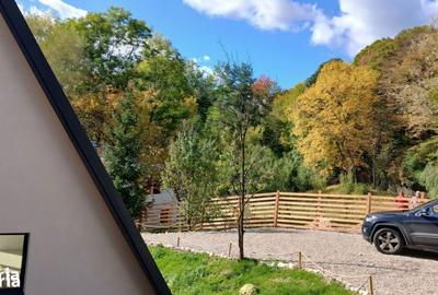 Casă cu 4 camere în Brebu - 3