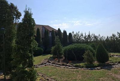 Casă în Acâș - 10