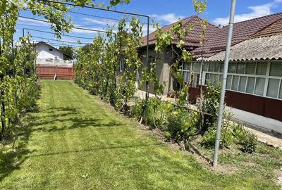 Casă cu 2 camere în Cornu