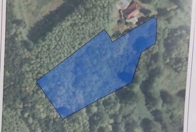 Teren de 5400 mp, în Central - 4