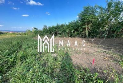 Oportunitate de Investiție Strategică | Teren Intravilan | Colonia Becas Oportunitate de Investiție Strategică | Teren Intravilan | Colonia Becas - 3