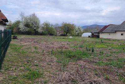 Teren de 4600 mp, în Recea - 3