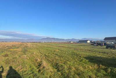 Teren de 1800 mp, în Mocira - 2