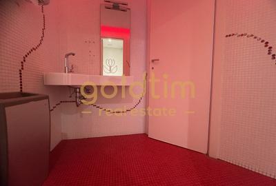 INVESTITIE/PRELUARE CHIRIAS/PARTER PLUS ETAJ - 58