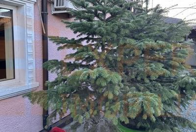 Casă individuală cu 3 camere cu Canalizare în Palas - 1