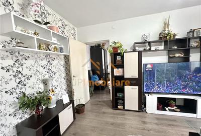 APARTAMENT DE VANZARE 2 CAMERE, BEIUS - 9