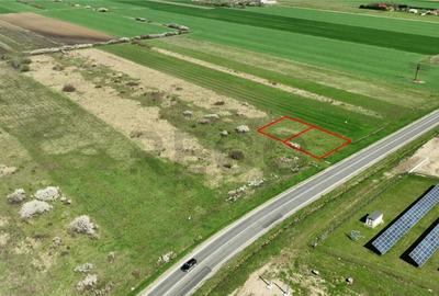 RECO , teren intravilan in Osorhei - 2