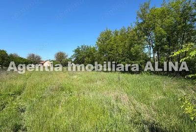 Teren de 941 mp, în Criș - 4