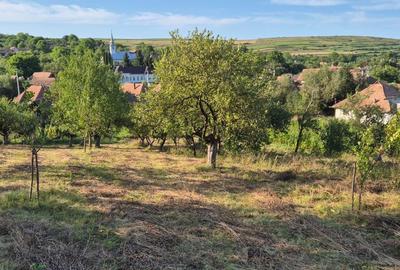 Casă cu 3 camere în Filea de Jos - 8