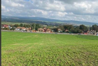 Teren extravilan Feldioara - 3