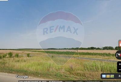 Oportunite - Gruiu Teren intravilan 4,800 mp / 100 m de A3 - 2