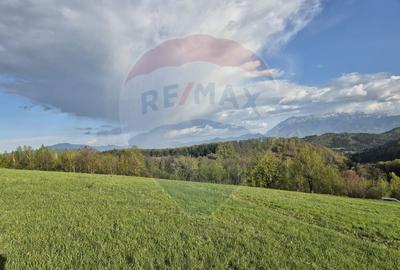 Comision 0 %/Teren intravilan 11.600mp Poiana Marului / Natura/Poveste - 12