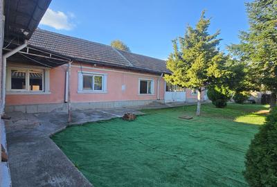 Propietate  km 4/5 .  1000 mp , din care 250 mp construcții - 2