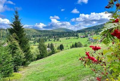 RECO Teren intravilan in Arieseni