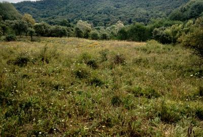 Teren în Central - 5