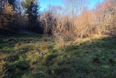 Casă cu Teren 20000 Mp în Vârfurile - 3