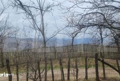 Teren de 3781 mp, în Izvoarele - 10