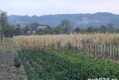 Teren în Valea Iașului - 3