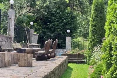 Spațiu comercial, de 400 mp, în Văliug - 4