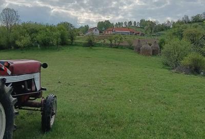 Spațiu comercial, în Luncani - 1