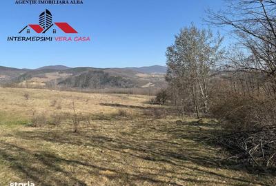 Teren de 28900 mp, în Vințu de Jos - 6