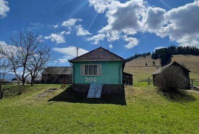 Casă cu 3 camere în Vale - 3