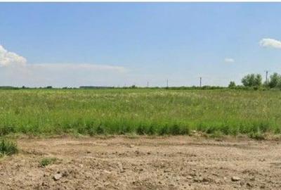 Teren Costestii din Vale, ID: R2582235 - 3