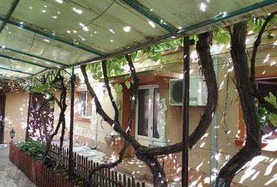 Casă cu 3 camere cu Teren 490 Mp în Brăilița - 5