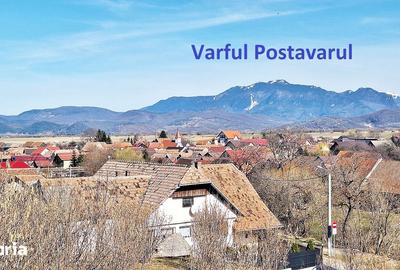 Teren de 17000 mp, în Central - 15