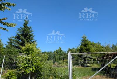 Teren pentru constructie casa in Faget - 3