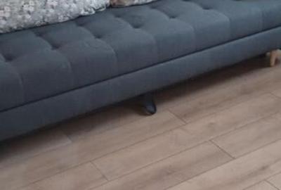 Chelinta, casa 1,2ha teren - 6