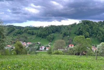 PROPRIETAR - 3274 mp intravilan Simon (BRAN) - 3