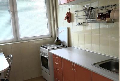 Lacul Tei, Parcul Circului, Lidl, Mega Image, adiacent - 9