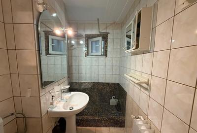 Apartament 2 camere, parter,mobilat si utilat, zona Gojdu Apartament 2 camere, parter,mobilat si utilat, zona Gojdu - 10