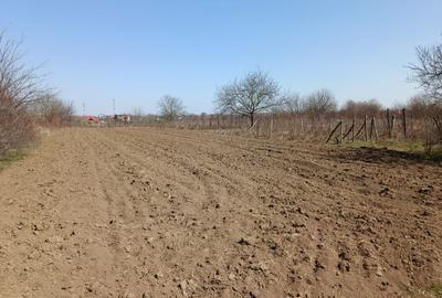 Teren intravilan 2400 mp in Afumati - 2