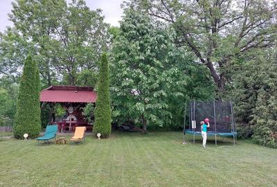 Casă cu 4 camere cu Teren 6000 Mp în Cornu - 4