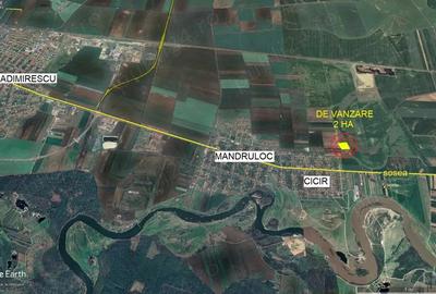 Teren de 20600 mp, în Cicir - 2