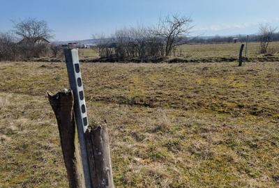 Teren agricol extravilan de 1000 mp, în Șelimbăr - 6