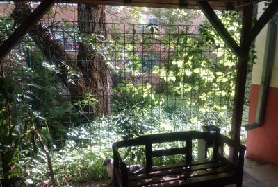 Proprietar, ap 2 cam in casa veche, Mărășești, singur curte - 11