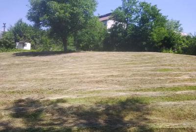 Teren de 4000 mp, în Copăceni - 1