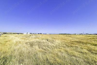 Teren de 2388 mp, în Albota - 4