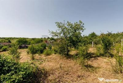 Teren de 1200 mp, în Paleu - 13