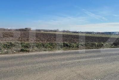 Teren de 7300 mp, în Periferie