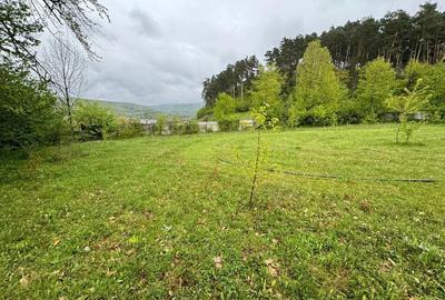 Oportunitate investitie - Covasna 21000mp intravilan - 6
