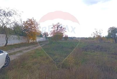 Teren Construcții intravilan de 2056 mp, în Ciolpani - 9