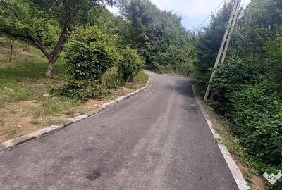 Casă cu 4 camere cu Teren 2100 Mp în Baia Sprie - 2