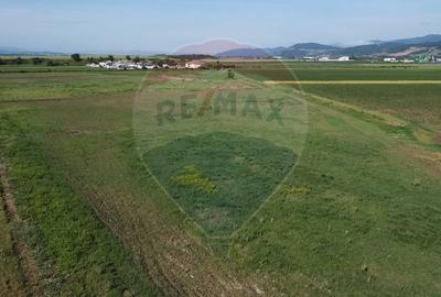 Teren Construcții intravilan de 39500 mp, în Vințu de Jos - 4