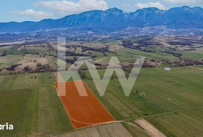 Teren de 1570 mp, în Plaiul Foii - 6