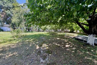 Vila Manastirea Snagov - 15